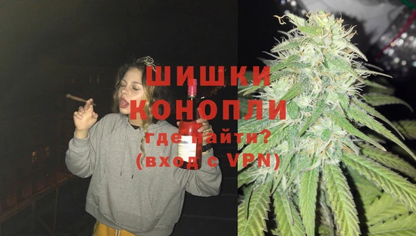 apvp Анива