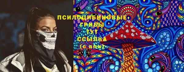 ПСИЛОЦИБИНОВЫЕ ГРИБЫ Медногорск